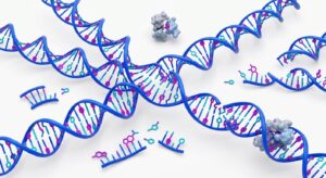 현미경으로 본 병원균의 DNA 구조와 PCR 증폭 원리 시각화